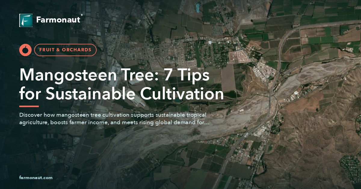 Mangosteen Tree: 7 Tips For Sustainable Cultivation