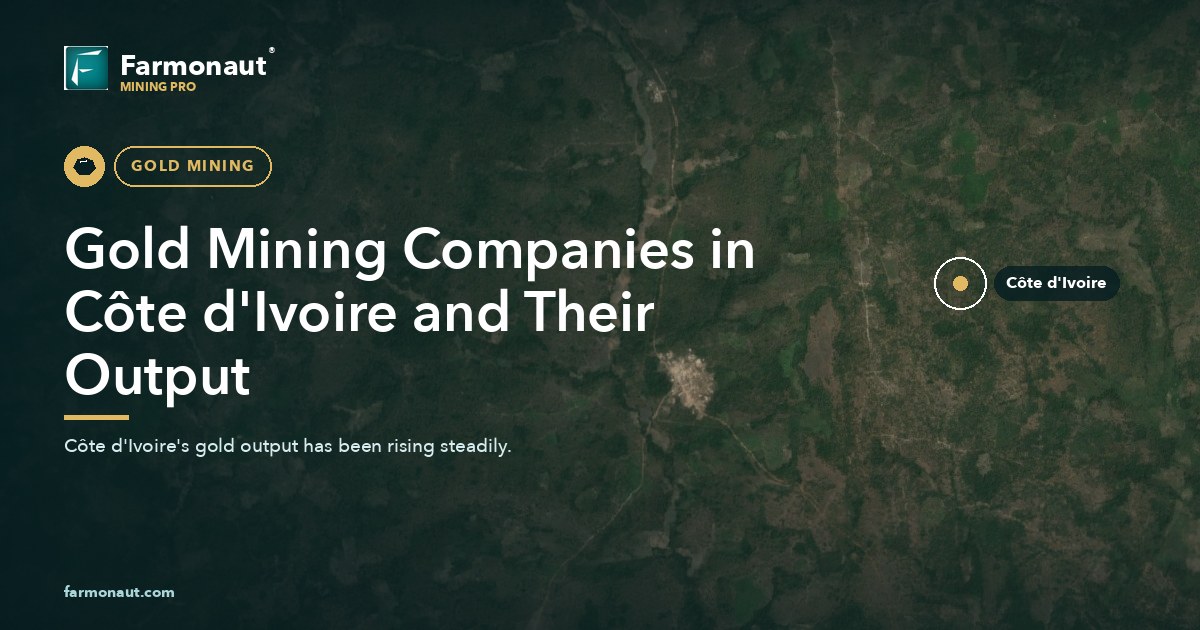 Gold Mining Companies In Côte D'Ivoire And Their Output