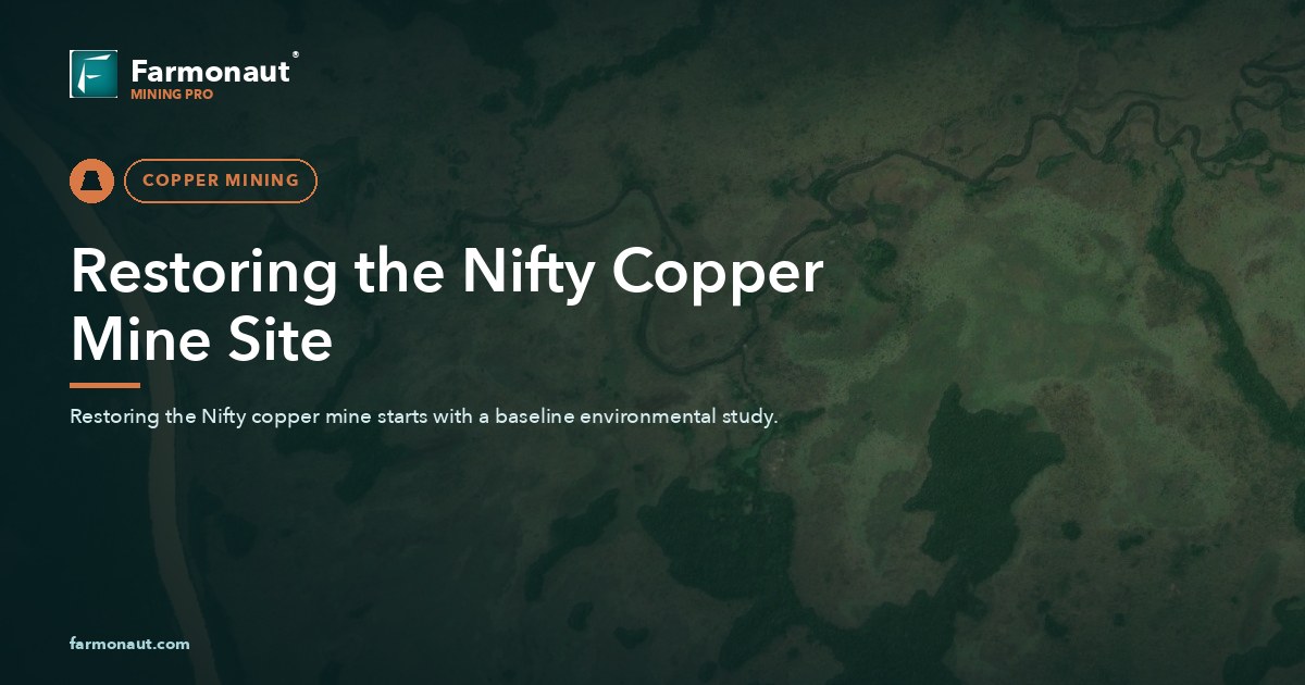 Restoring The Nifty Copper Mine Site