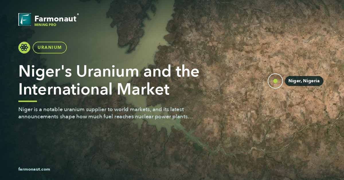 Niger'S Uranium And The International Market