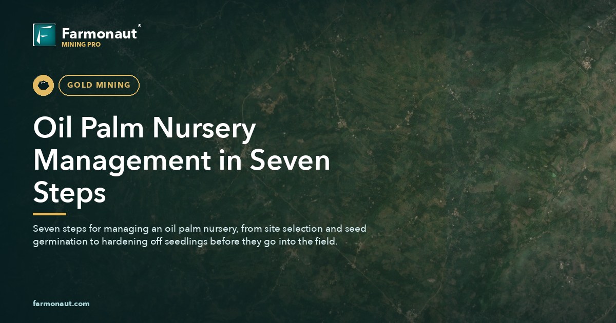 Oil Palm Nursery Management In Seven Steps