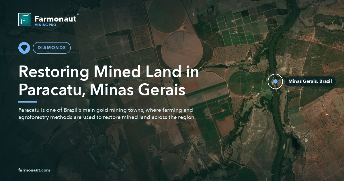 Restoring Mined Land In Paracatu, Minas Gerais