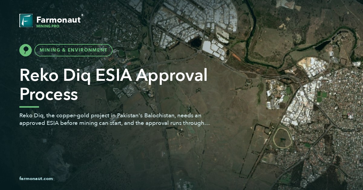 Reko Diq Esia Approval Process