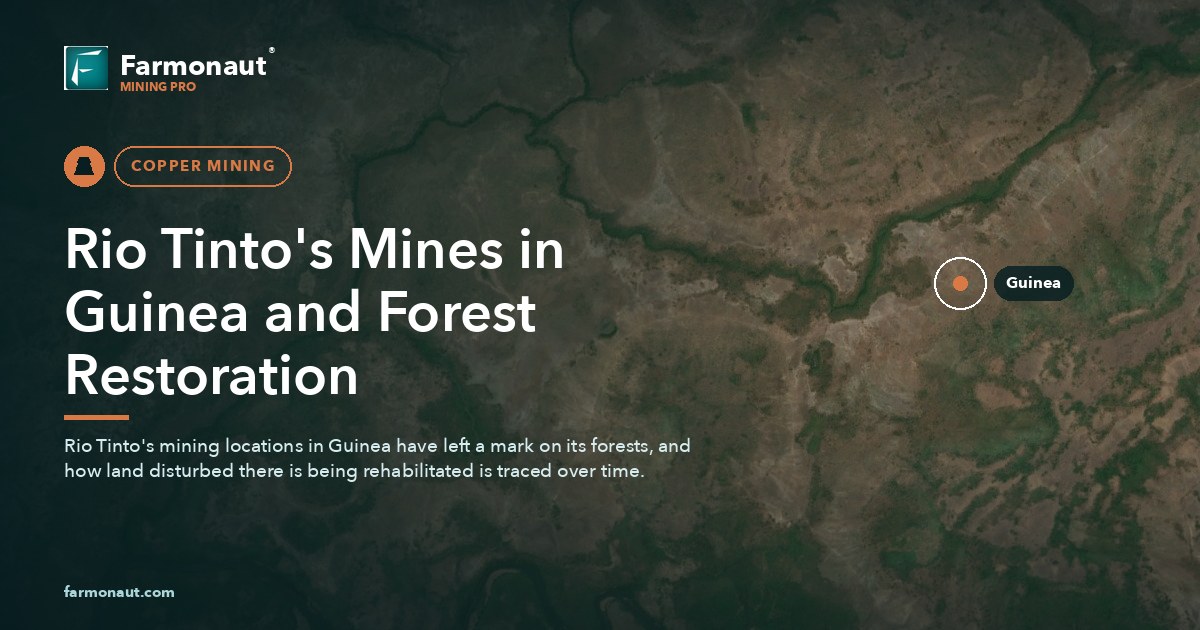 Rio Tinto'S Mines In Guinea And Forest Restoration