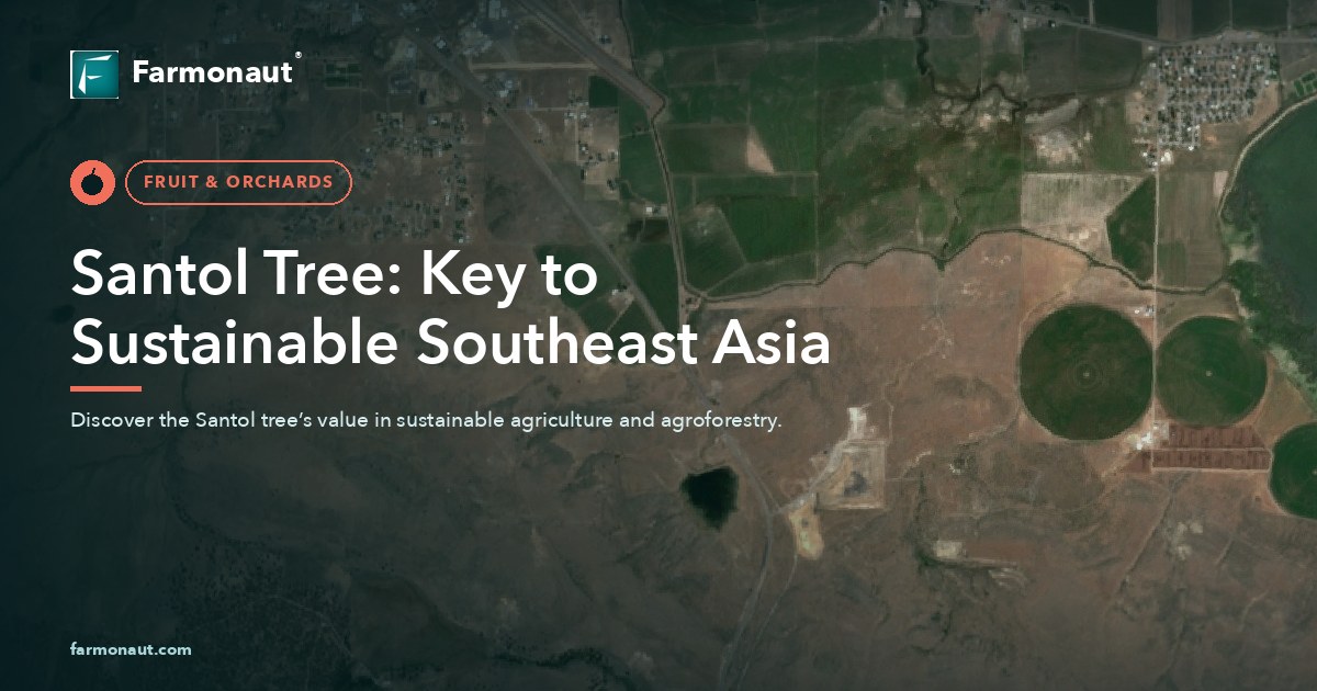 Santol Tree: Key To Sustainable Southeast Asia