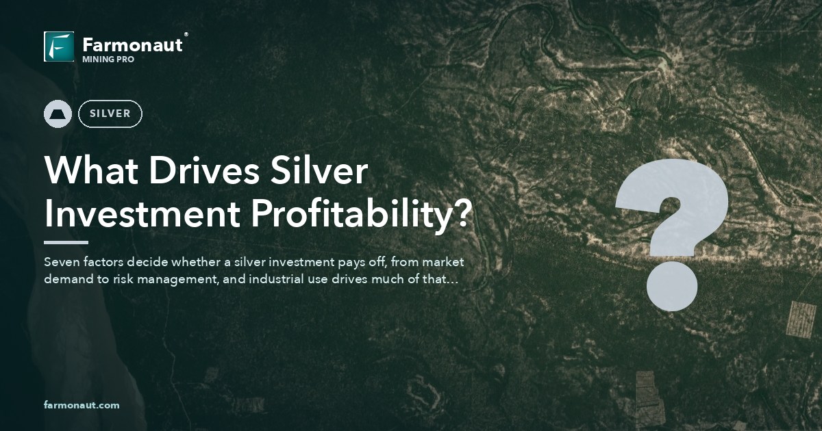 What Drives Silver Investment Profitability?