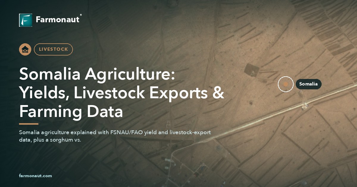Somalia Agriculture: Yields, Livestock Exports &Amp; Farming Data