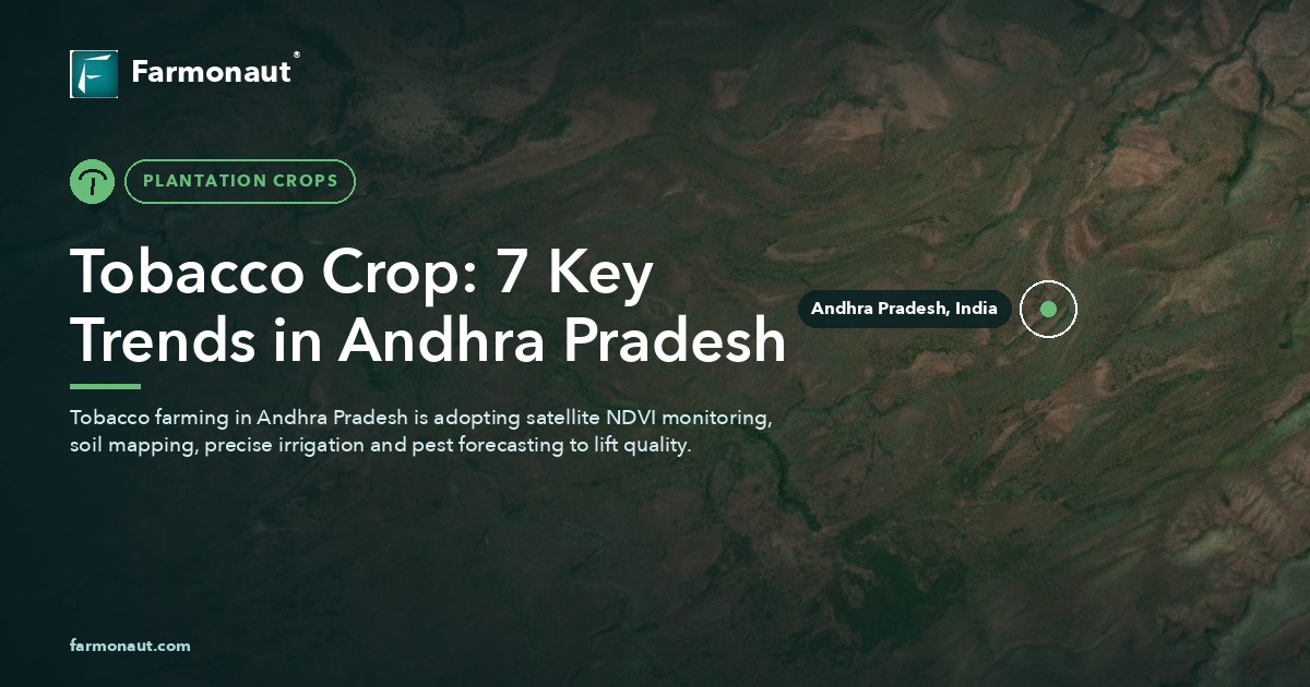 Tobacco Crop: 7 Key Trends In Andhra Pradesh