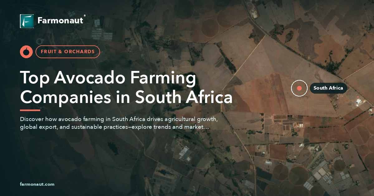 Top Avocado Farming Companies In South Africa