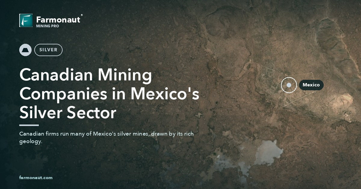 Canadian Mining Companies In Mexico'S Silver Sector