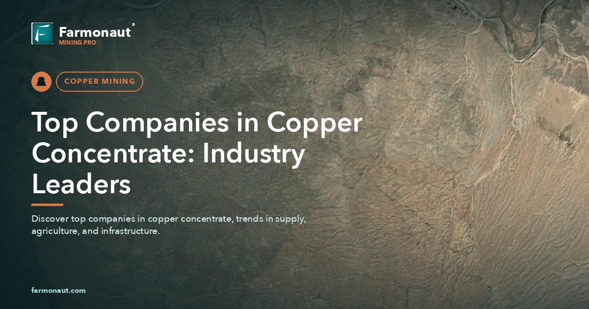 Top Companies In Copper Concentrate: Industry Leaders