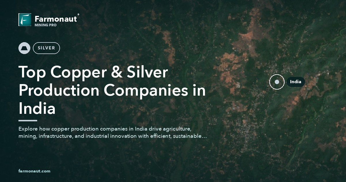 Top Copper &Amp; Silver Production Companies In India