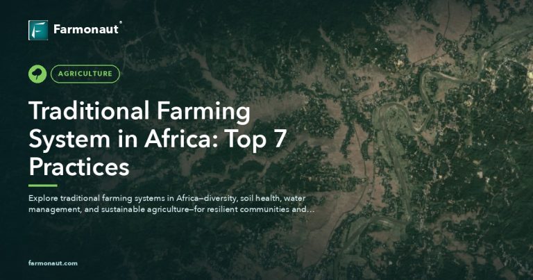 Traditional Farming System In Africa Top 7 Practices Farmonaut V2 1