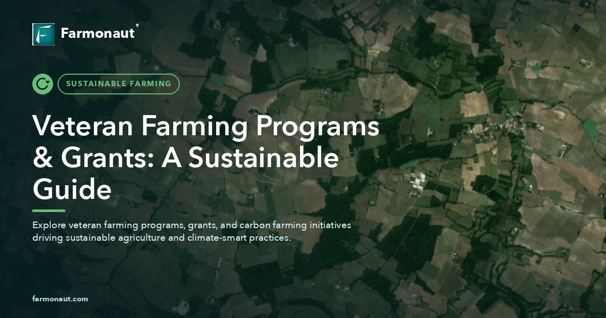 Veteran Farming Programs &Amp; Grants: A Sustainable Guide