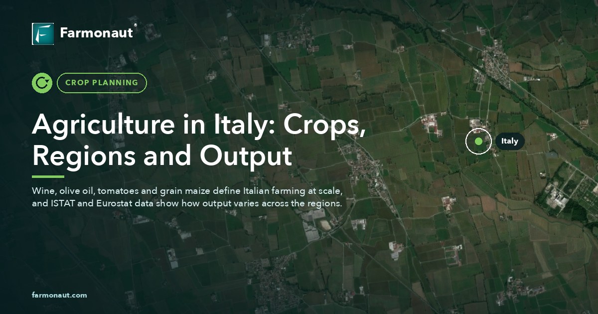 Agriculture In Italy: Crops, Regions And Output