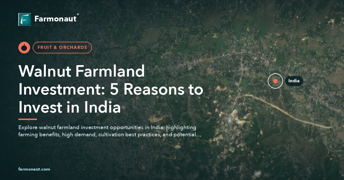 Walnut Farmland Investment: 5 Reasons To Invest In India