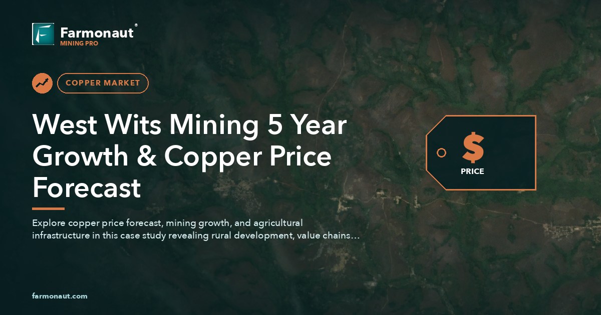 West Wits Mining 5 Year Growth &Amp; Copper Price Forecast
