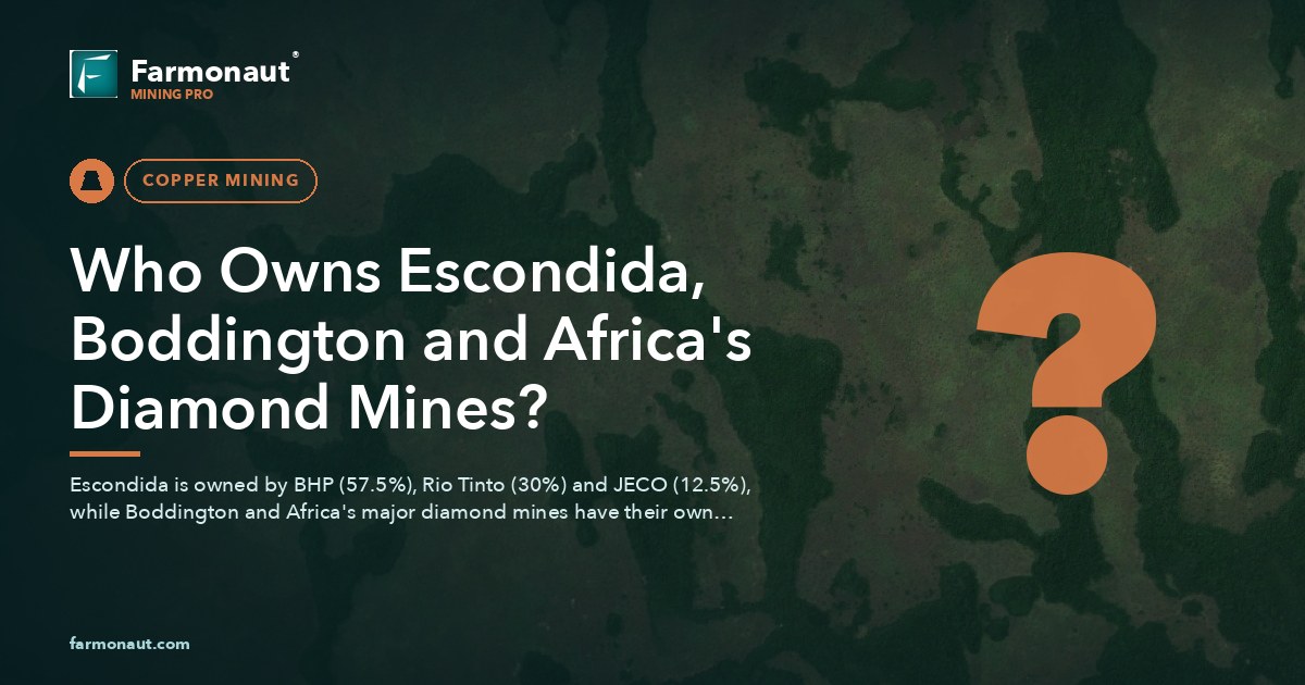 Who Owns Escondida, Boddington And Africa'S Diamond Mines?