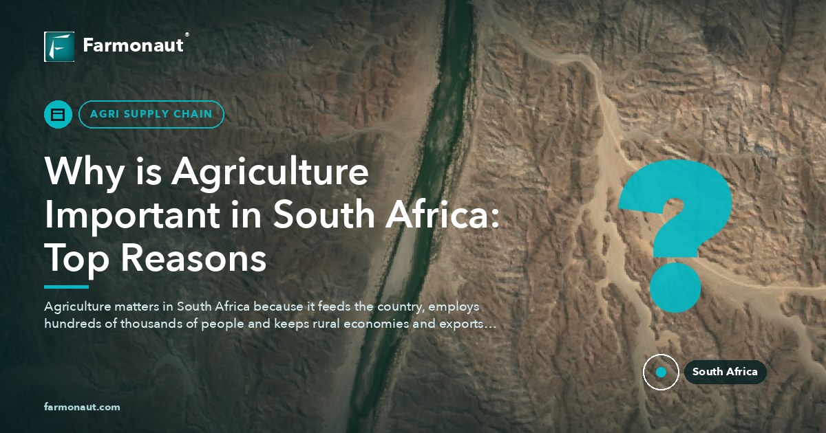 Why Is Agriculture Important In South Africa: Top Reasons
