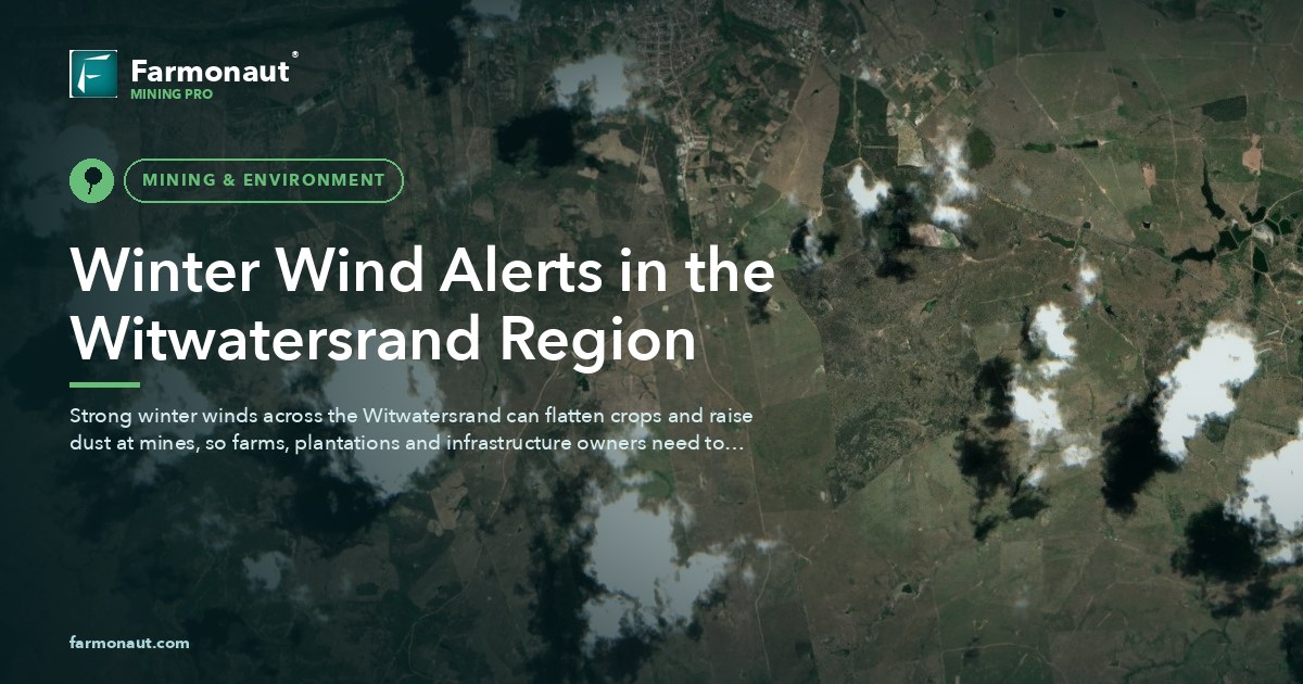Winter Wind Alerts In The Witwatersrand Region