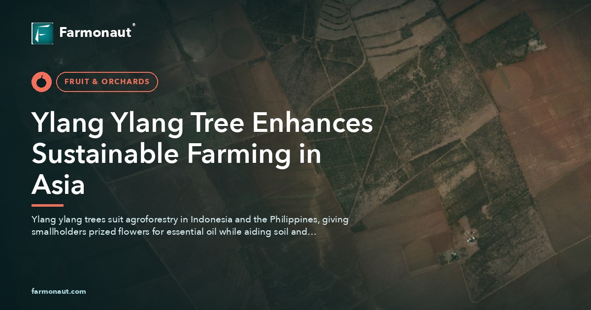 Ylang Ylang Tree Enhances Sustainable Farming In Asia