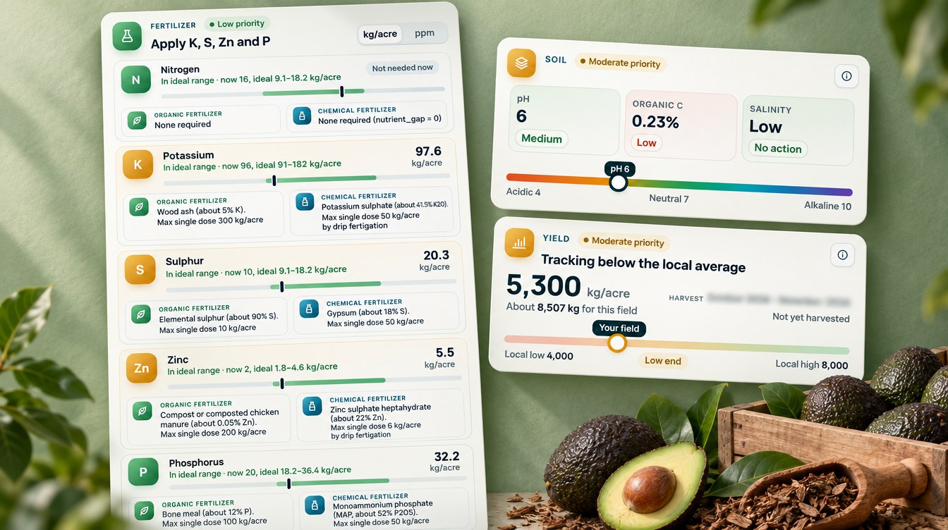 Avocado Orchard Monitoring Fertilizer Plan With Organic And Chemical Options, Plus Soil And Yield Cards (Illustration, Names Hidden)