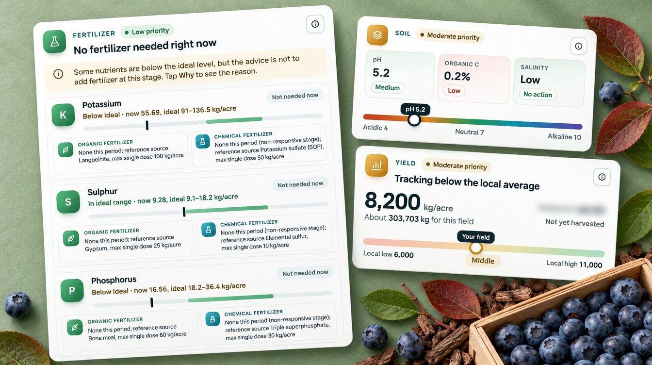 Blueberry Root Rot After Harvest: An Oregon Case Study 5 Blueberry Fertilizer Plan With Organic And Chemical Options, Soil Ph And Yield Cards From A Farmonaut Advisory (Illustration Based On The Real Advisory, Names Redacted)