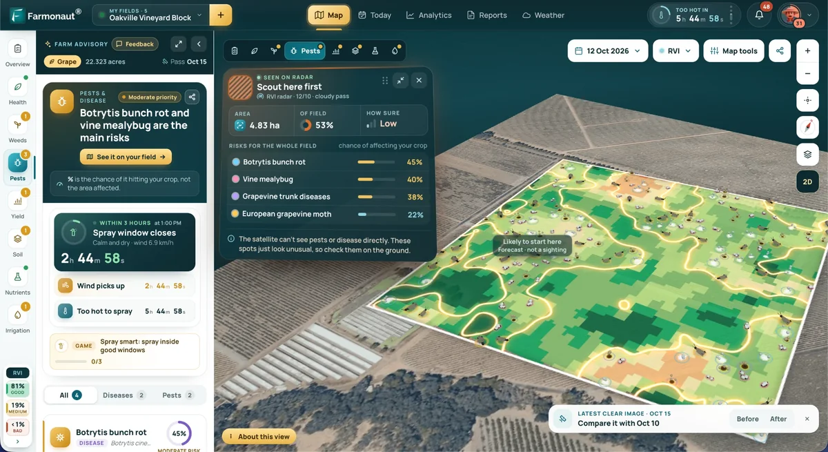 Farmonaut dashboard: a 3D satellite view of a vineyard with the areas to scout first and the chance of each pest and disease