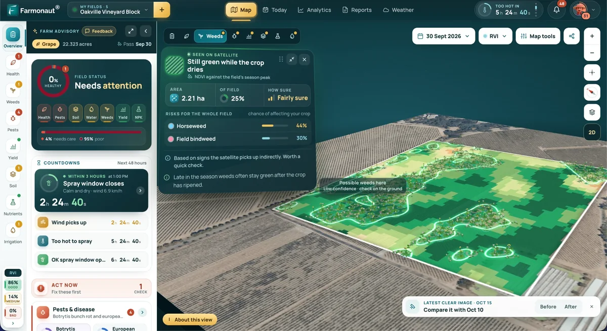 Farmonaut dashboard: weed patches that stay green after the crop ripens, marked on a 3D satellite view of the field