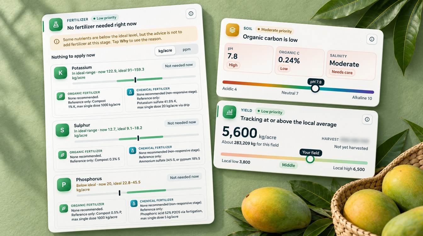 Mango Farming In Egypt: A Luxor Satellite Case Study 5 Mango Orchard Fertilizer Plan With Organic And Chemical Options, Soil And Yield Cards From A Farmonaut Advisory (Illustration Based On The Real Advisory, Names Redacted)