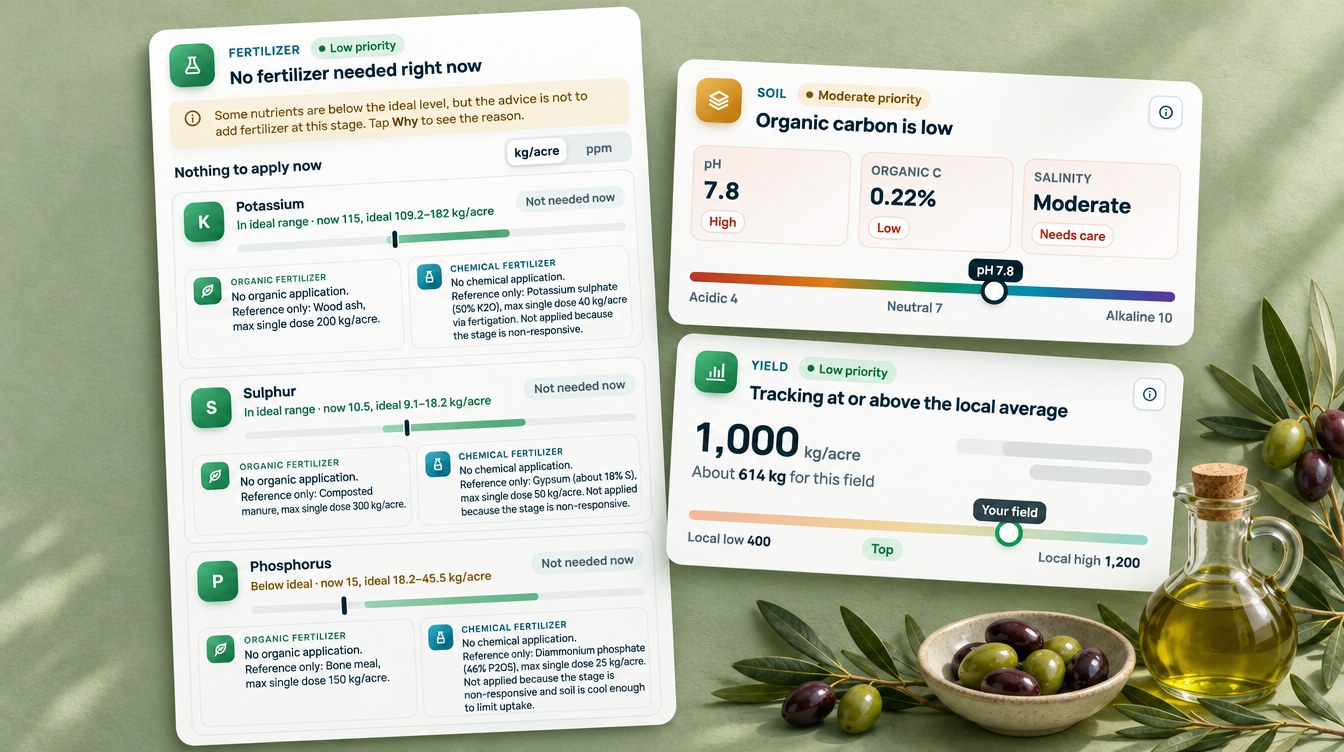 Fertilizer Plan With Organic And Chemical Options, Soil And Yield Cards From An Olive Fruit Fly Monitoring Advisory For A Greek Olive Grove (Illustration Based On The Real Advisory, Names Redacted)