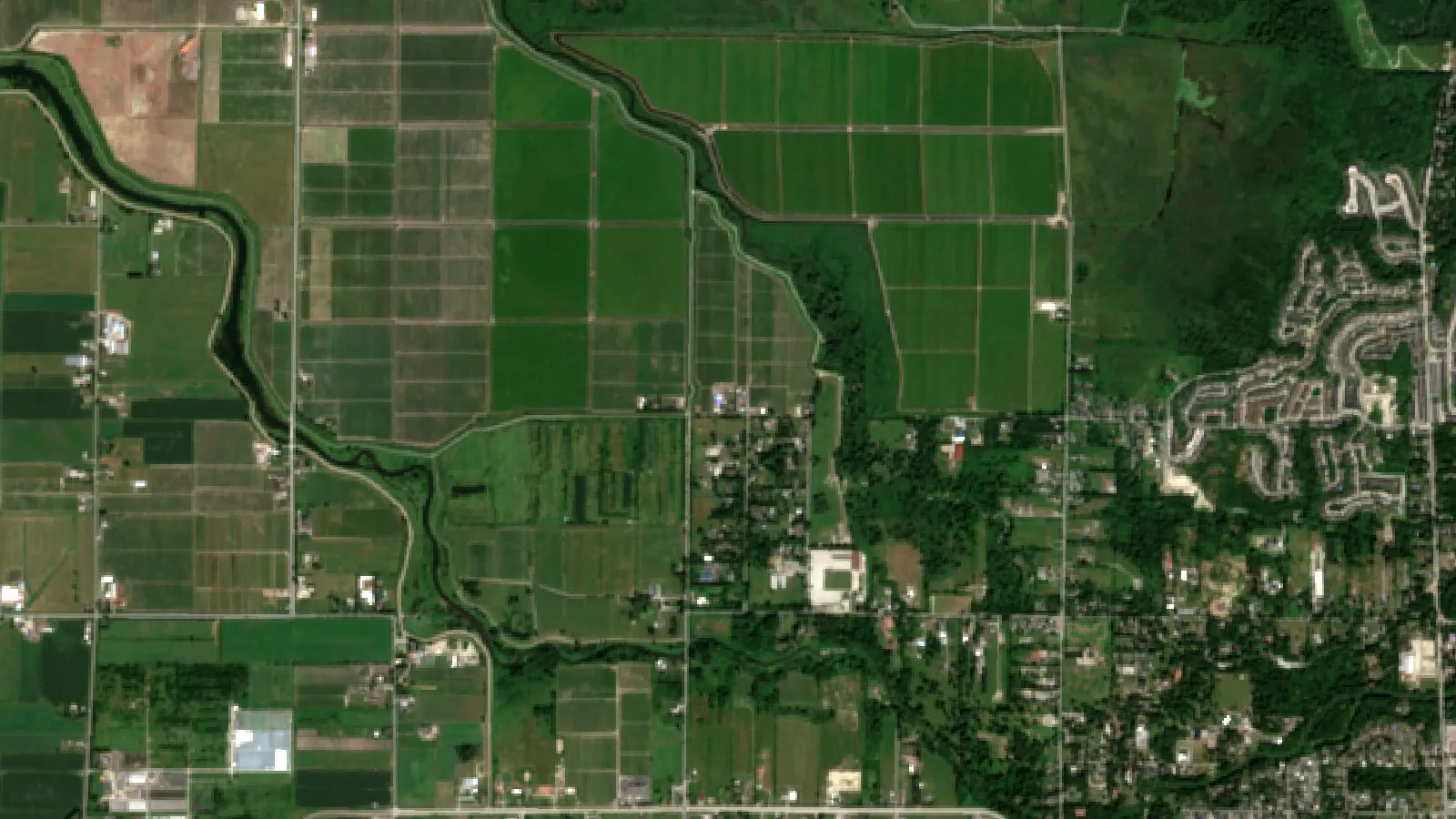 Blueberry Plants For Sale &Amp; Care: Timeless Tips And Trends 1 Sentinel-2 Satellite View Of Blueberry Fields On Pitt Meadows Farmland, Fraser Valley, British Columbia, Canada