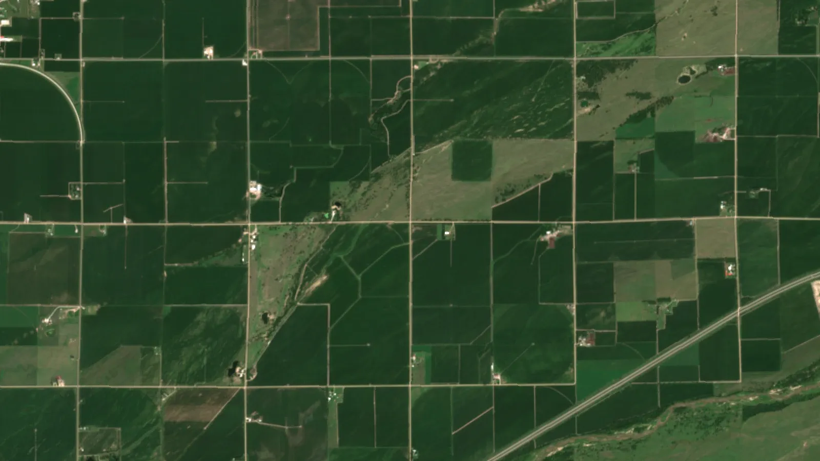 Sentinel-2 Satellite View Of Center-Pivot Irrigated Fields Near Grand Island, Nebraska