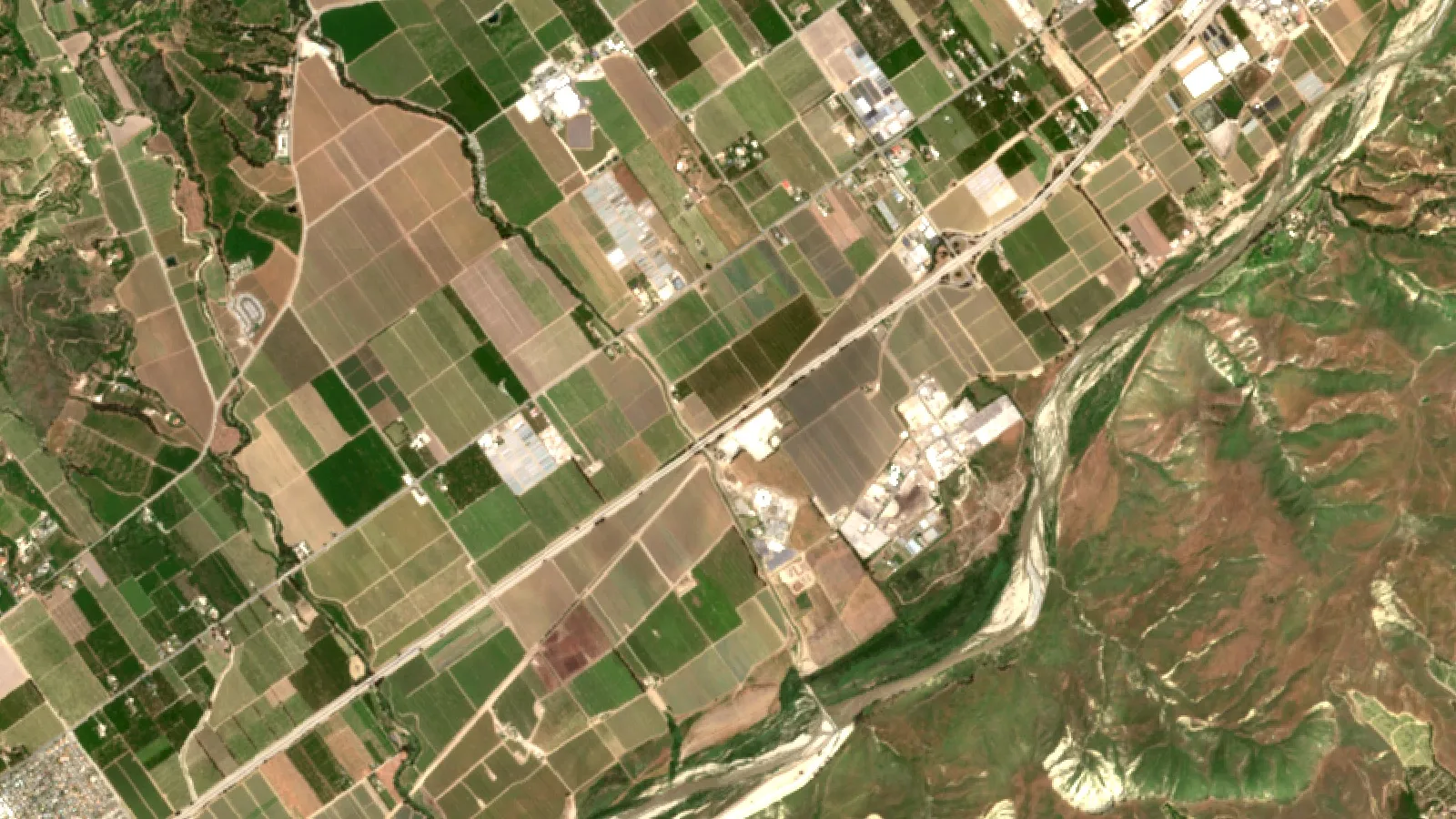 5 Powerful Ways To Eliminate Aphids On Citrus Trees 1 Sentinel-2 Satellite View Of Citrus Orchards In The Santa Clara River Valley Near Santa Paula, California, Usa