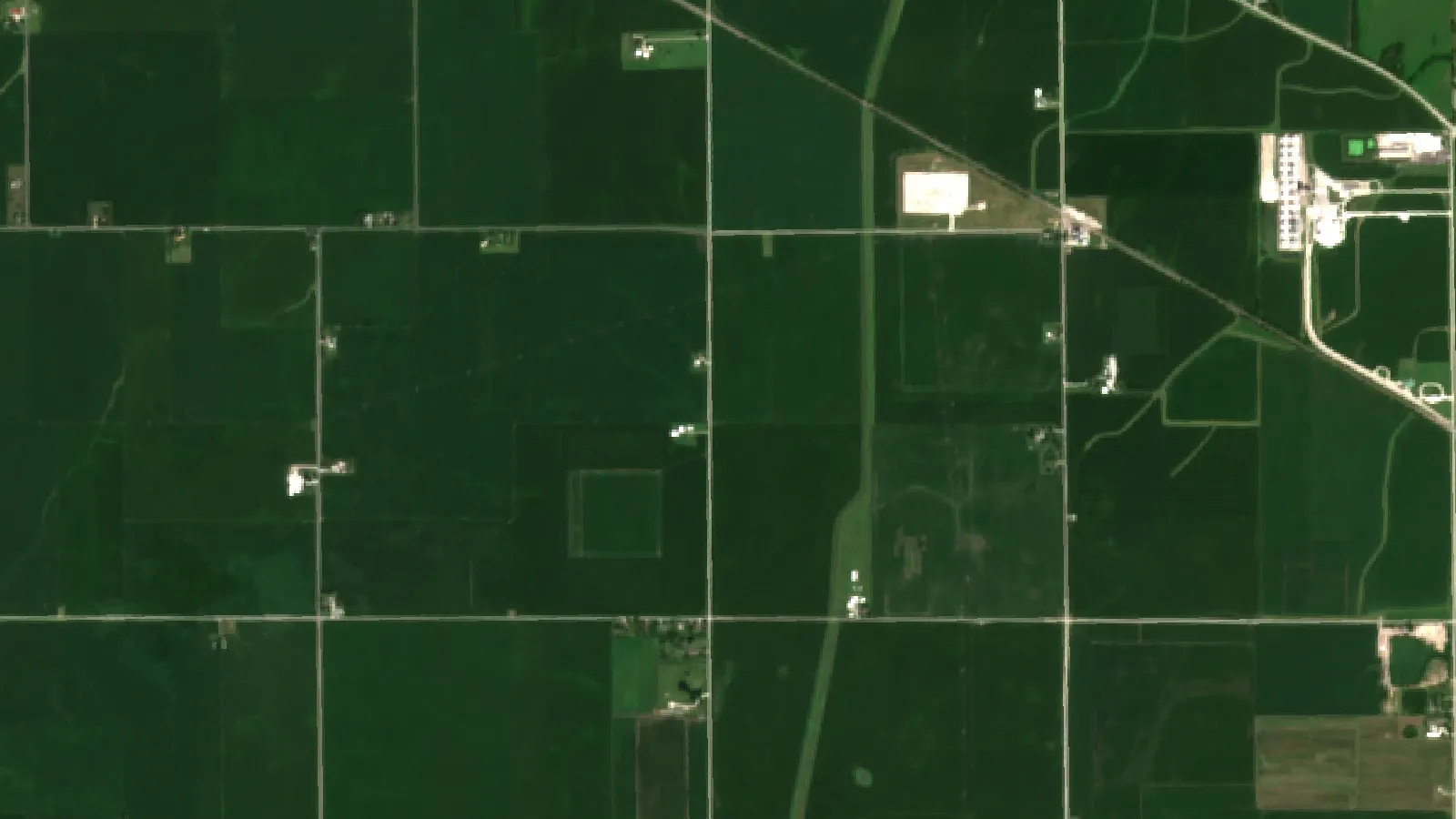 Cost Of A Combine: 7 Factors Affecting Combine Price 1 Sentinel-2 Satellite View Of Corn And Soybean Fields Near Champaign, Illinois, Usa