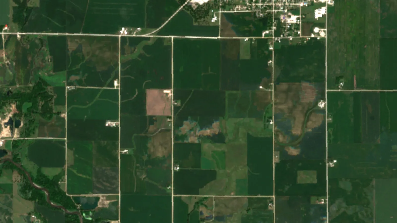 Sentinel-2 Satellite View Of Corn And Soybean Fields Near Lake City, Calhoun County, Iowa, Usa