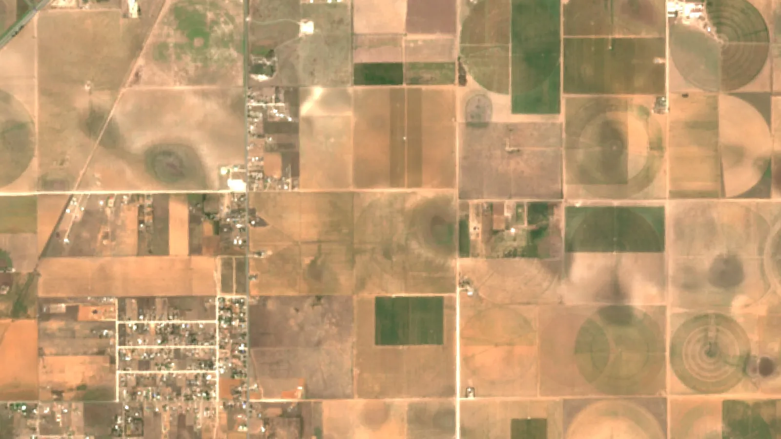 Jassid Vs Leafhopper: Identify Symptoms &Amp; Conditions 1 Sentinel-2 Satellite View Of Cotton Fields East Of Lubbock, Texas