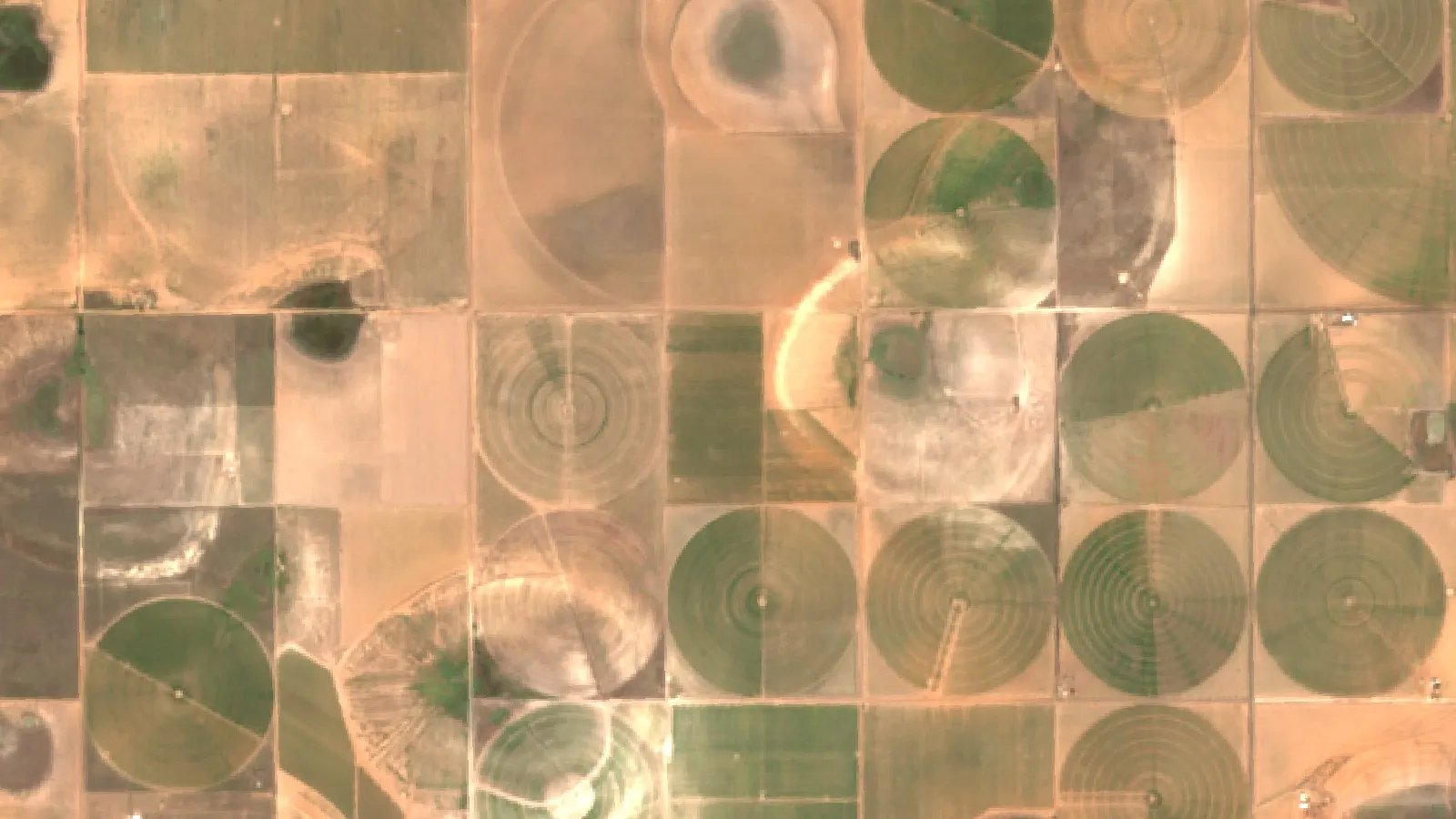 Best Climate For Growing Cotton: Temperature &Amp; Rainfall Guide 1 Sentinel-2 Satellite View Of Cotton Fields On The High Plains Northeast Of Lubbock, Texas, Usa