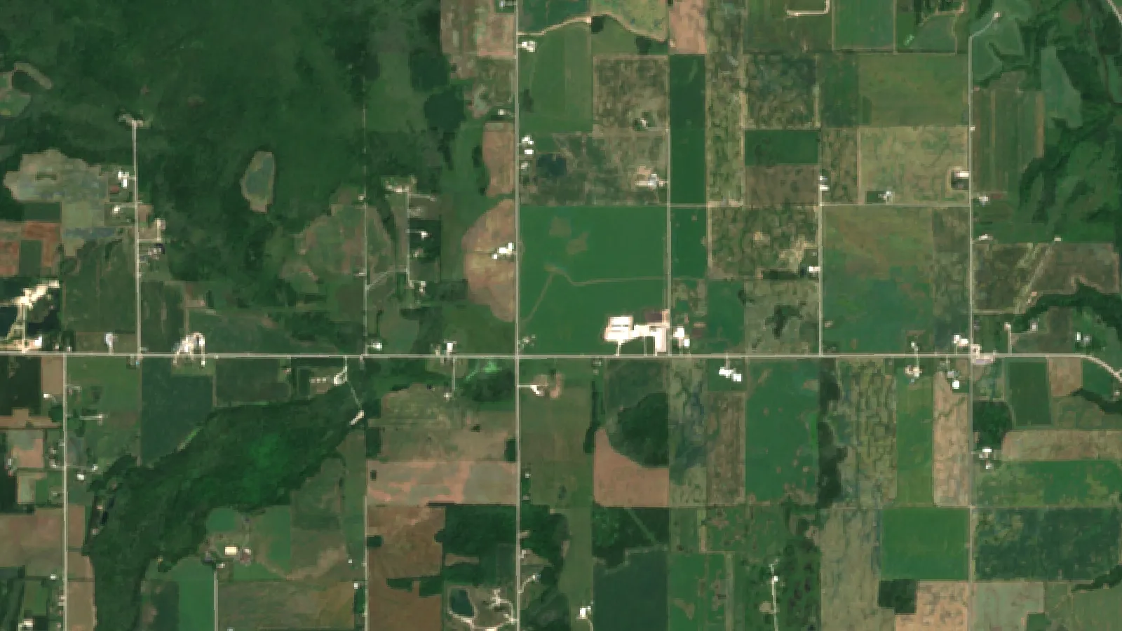 Milking Cows Near Me: 7 Powerful Dairy Innovations 1 Sentinel-2 Satellite View Of Dairy Farms And Forage Fields Near Kewaunee, Wisconsin, Usa