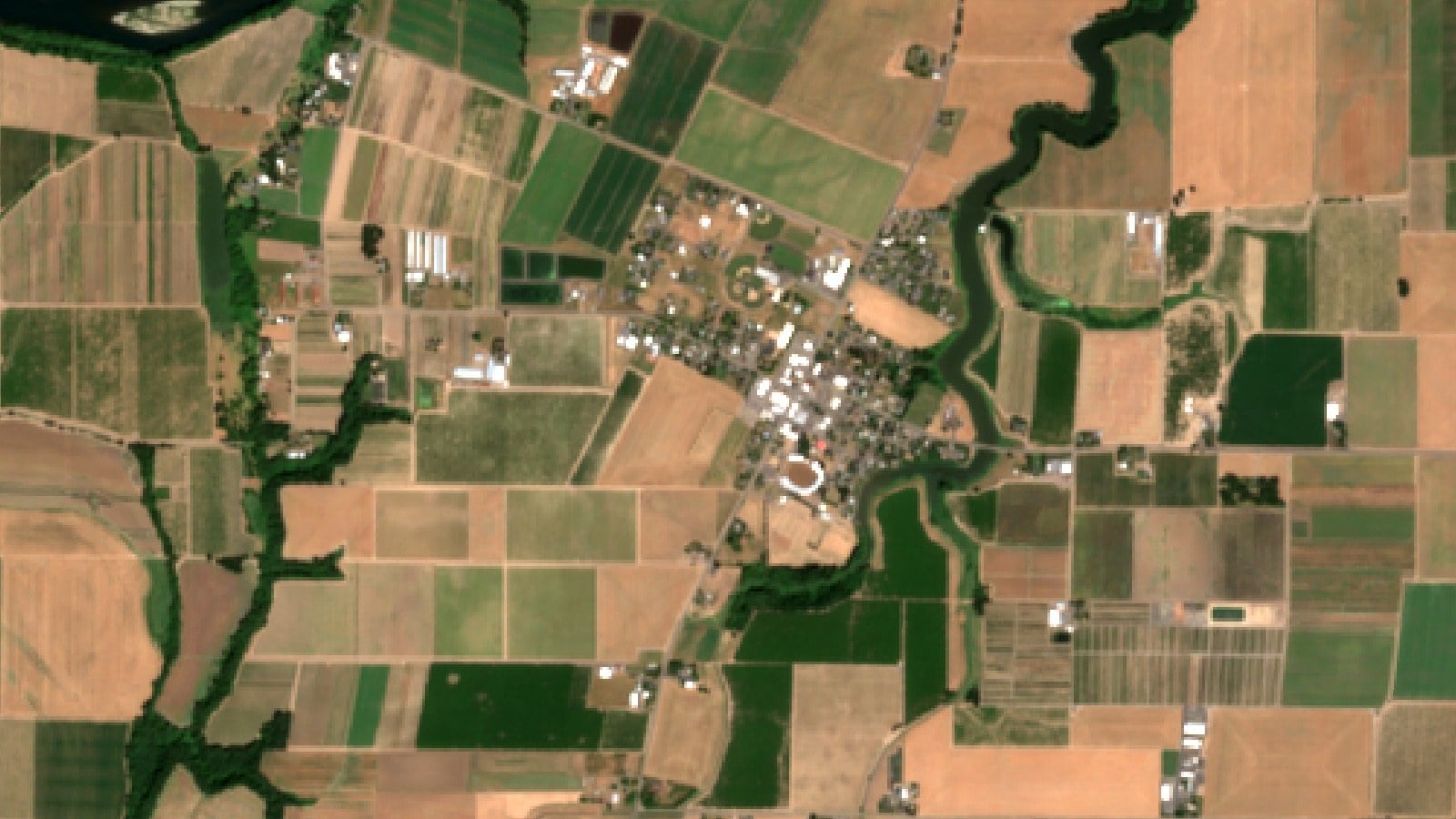 Blueberry Root Rot After Harvest: An Oregon Case Study 2 Sentinel-2 Satellite View Of Farmland In The North Willamette Valley, Oregon