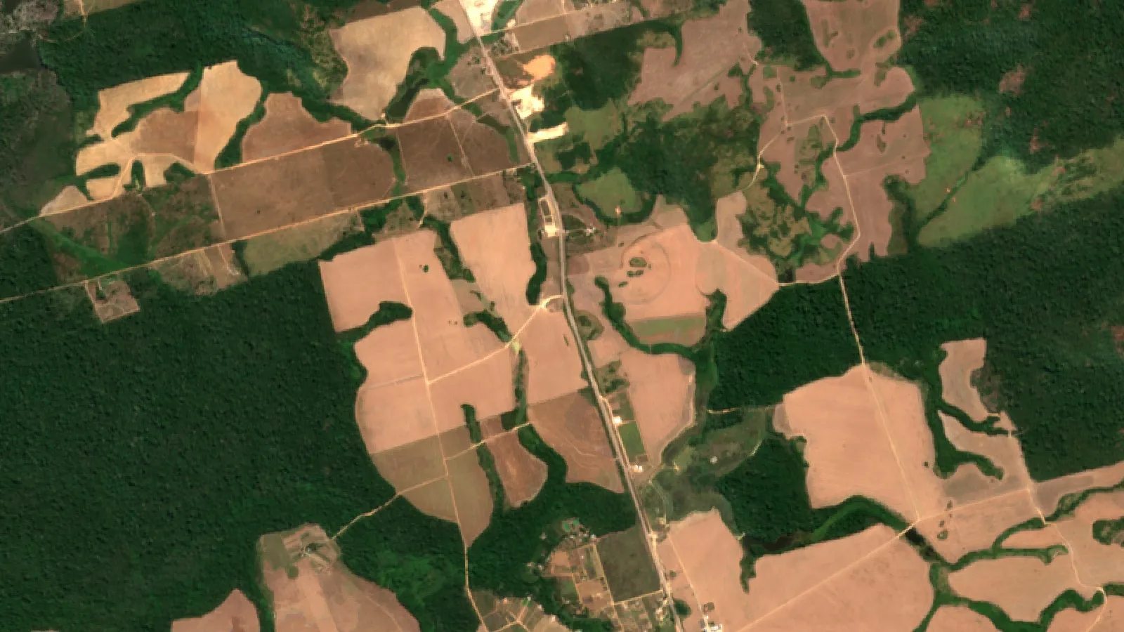 Sentinel-2 Satellite View Of Forest Edge And Cattle Pasture Near Novo Progresso, Pará, Brazil