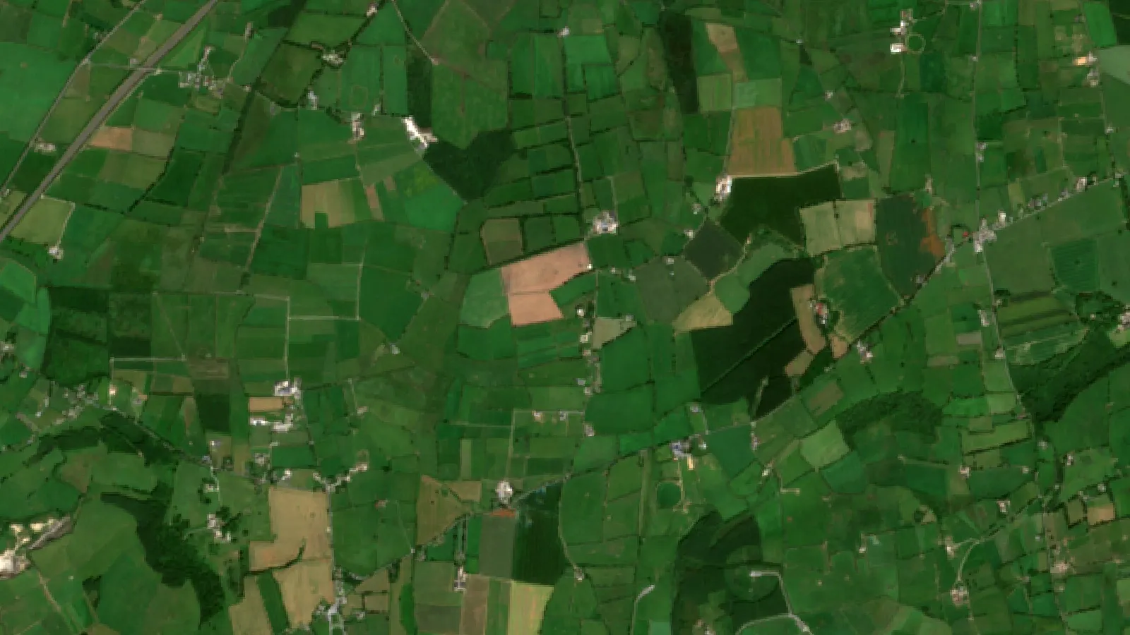Agricultural Extension Services: 5 Examples &Amp; Initiatives 1 Sentinel-2 Satellite View Of Grassland Farms North Of Cashel, County Tipperary, Ireland