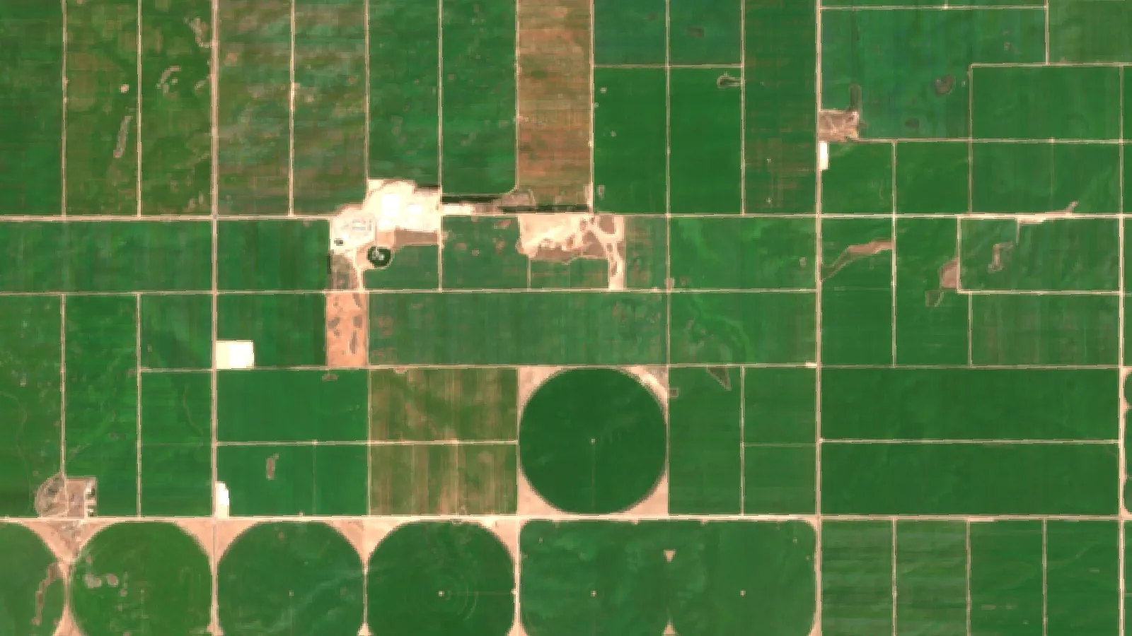 Harvesting Potatoes For Storage: Prevent Dry Rot 1 Sentinel-2 Satellite View Of Irrigated Potato Fields West Of American Falls, Idaho, Usa