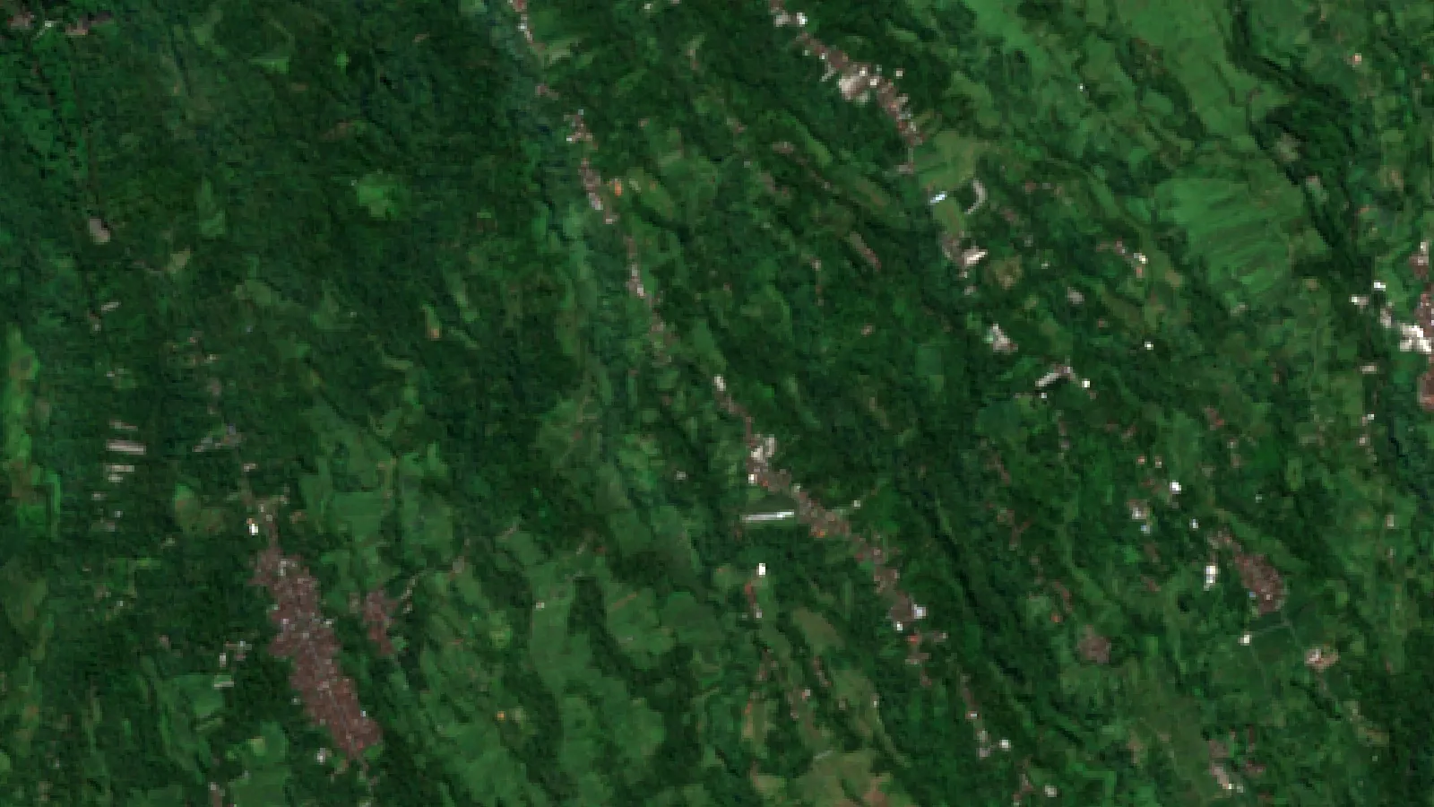 Agriculture In Indonesia: Land Lease Cost &Amp; News 1 Sentinel-2 Satellite View Of Jatiluwih Rice Terraces (Sawah), Tabanan, Bali