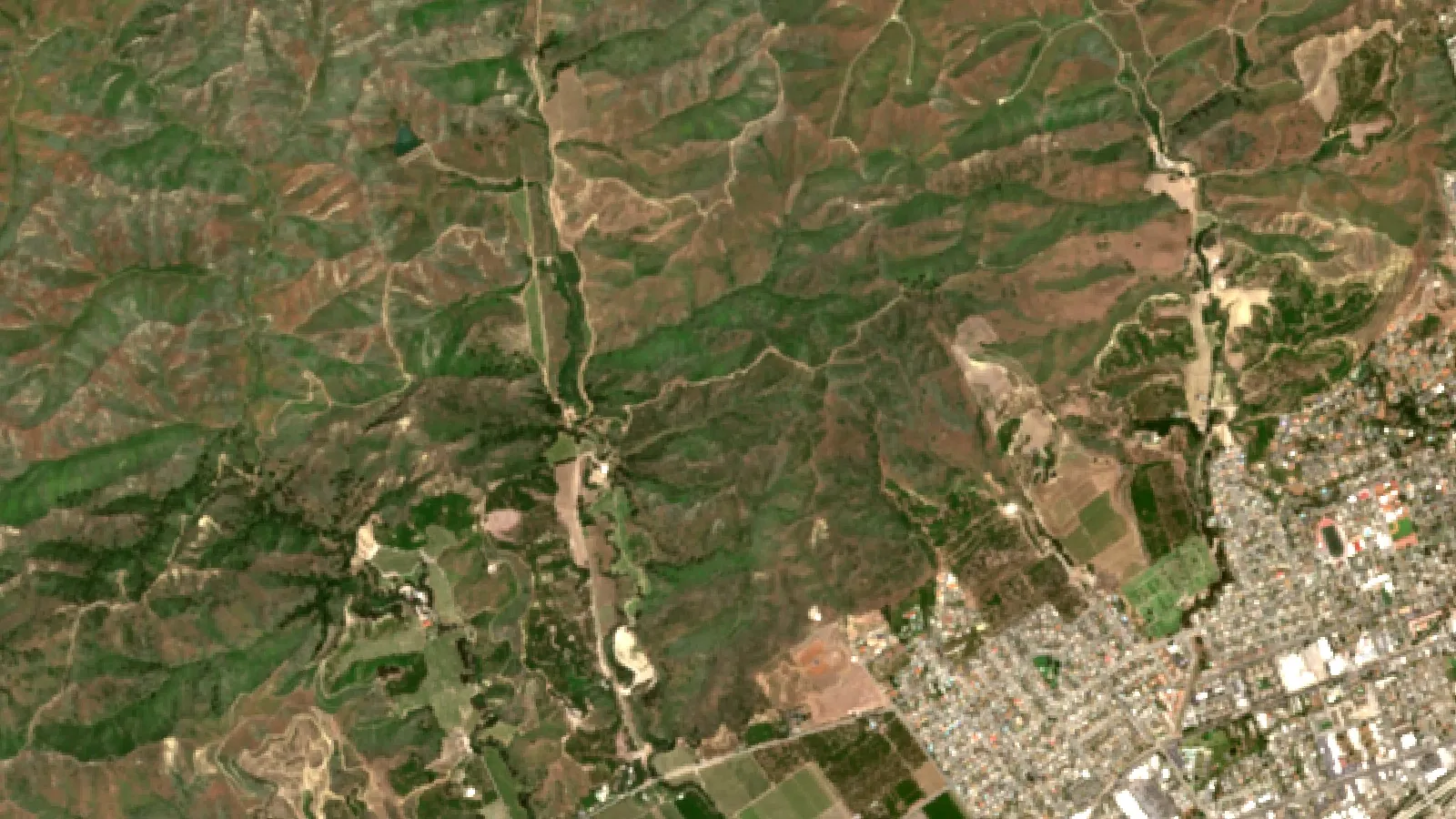 Lemon Tree Diseases And Treatment: Top 10 Solutions 1 Sentinel-2 Satellite View Of Lemon And Avocado Groves Near Santa Paula, Ventura County, California, Usa
