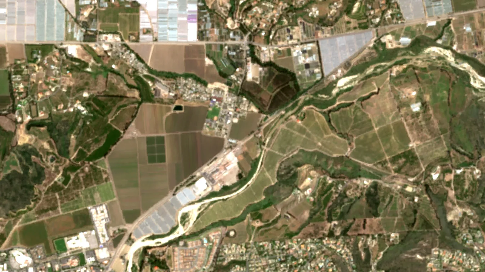 Lemon Tree Fungus: 7 Powerful Ways To Prevent Disease 1 Sentinel-2 Satellite View Of Lemon Orchards Near Somis, Ventura County, California