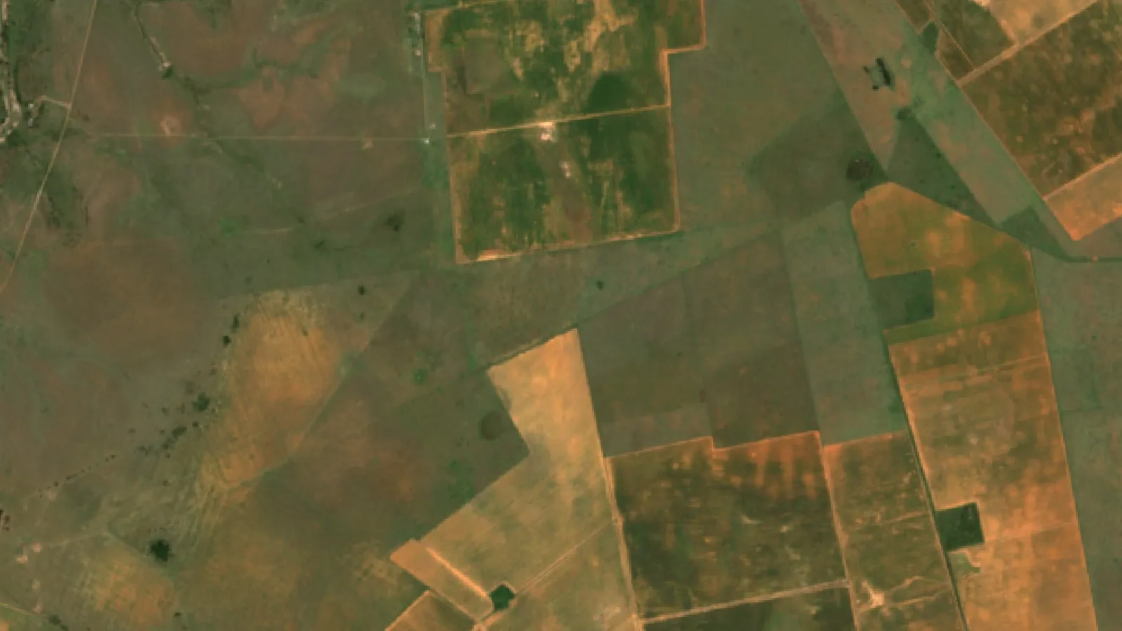 Agriculture Companies, Investors &Amp; Machinery South Africa 1 Sentinel-2 Satellite View Of Maize And Sunflower Fields West Of Bothaville, Free State, South Africa