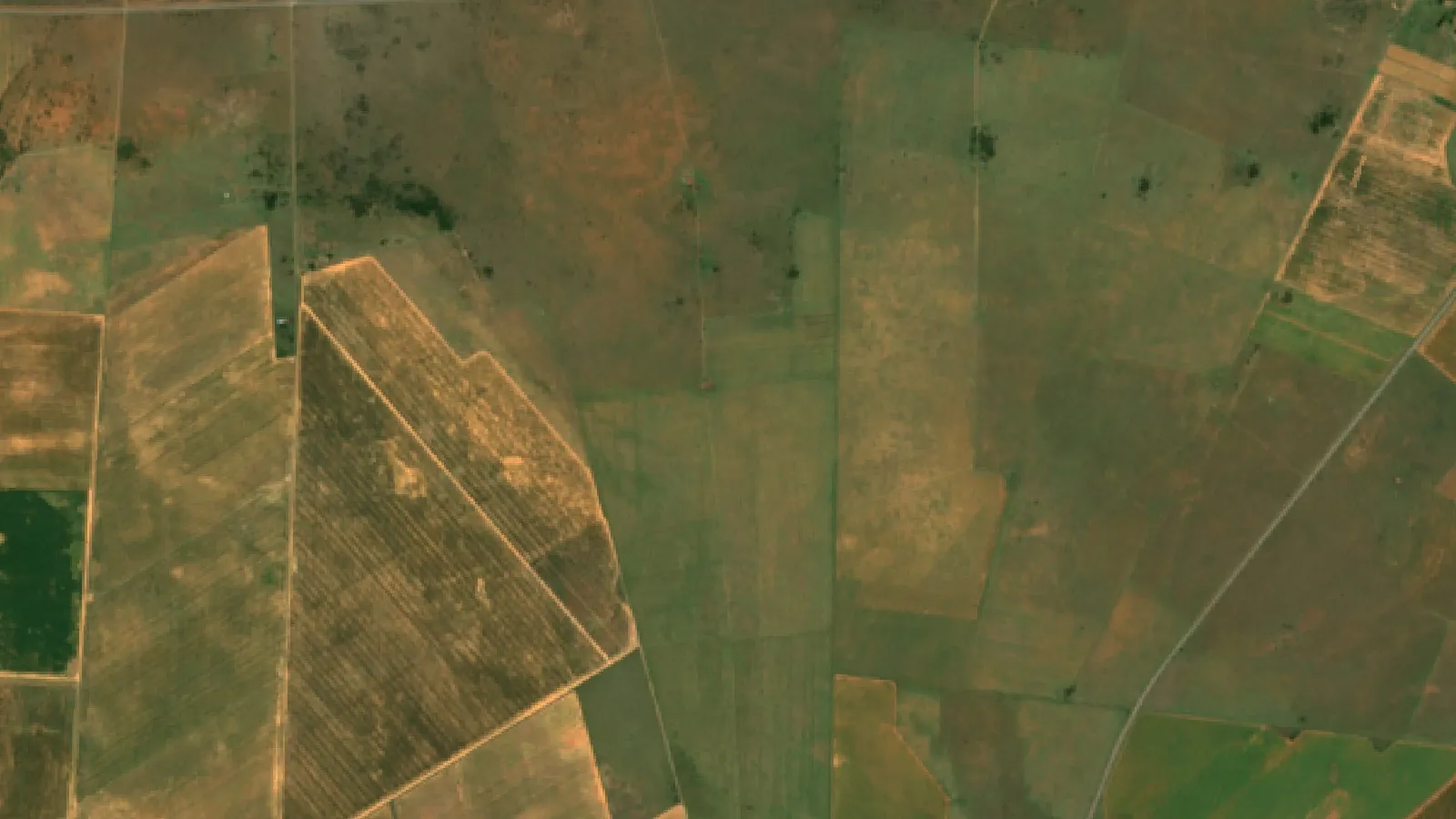 Farming Equipment In South Africa: Top Tools &Amp; Crops 1 Sentinel-2 Satellite View Of Maize Fields Near Bothaville, Free State, South Africa