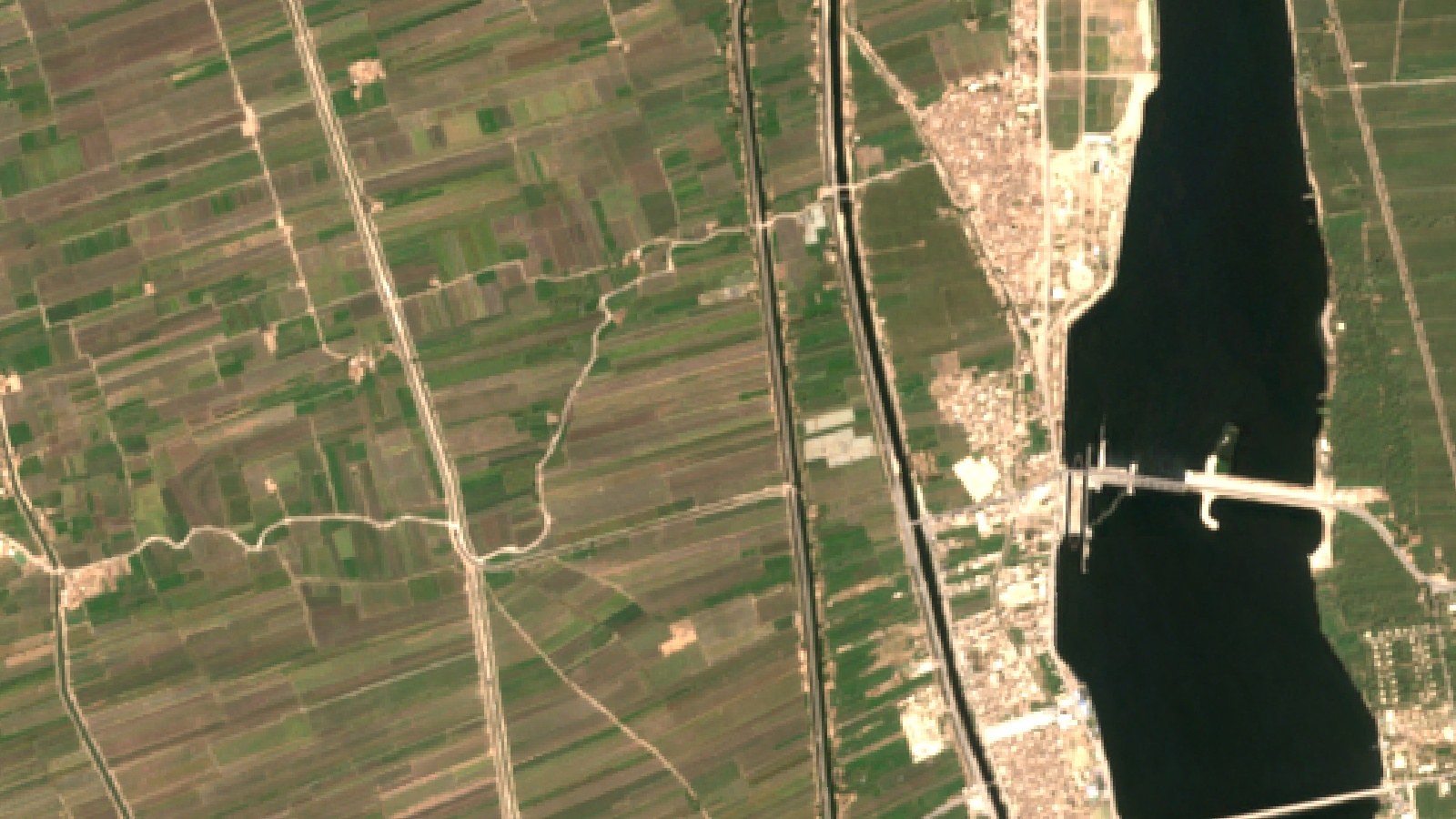Mango Farming In Egypt: A Luxor Satellite Case Study 2 Sentinel-2 Satellite View Of Orchards And Fields Along The Nile Near Esna, Luxor Governorate