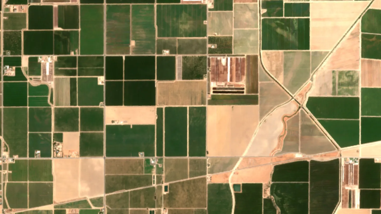 Sentinel-2 Satellite View Of Orchards And Vegetable Fields Near Hanford, Kings County, California, Usa